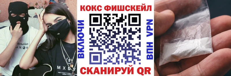 Cocaine FishScale  купить закладку  Власиха 