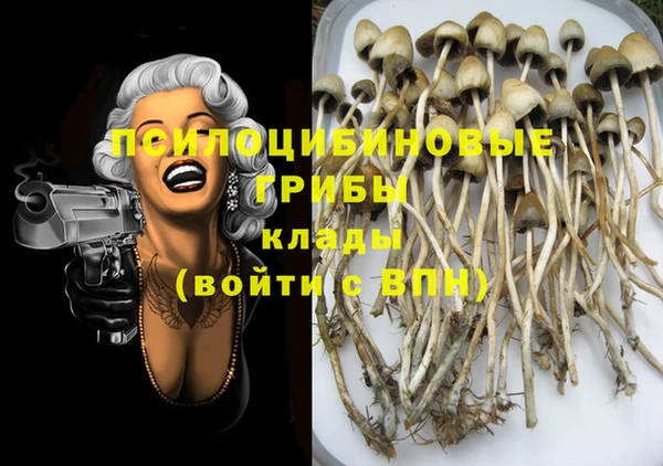 mdma Нязепетровск