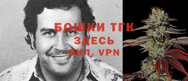 дмт Щёлкино