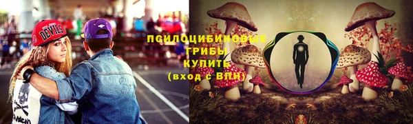 ешки Няндома