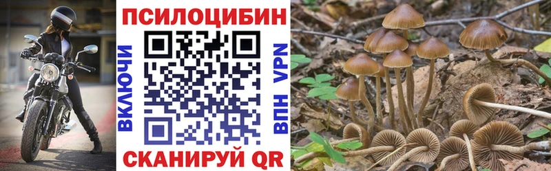 Псилоцибиновые грибы Psilocybe  Власиха 